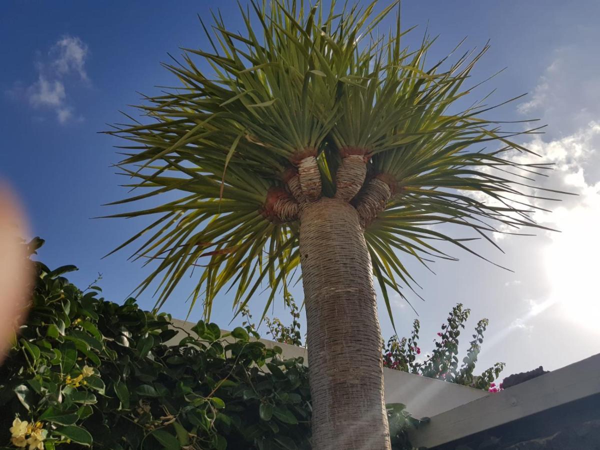 Villa Fenix Puerto del Carmen  Esterno foto